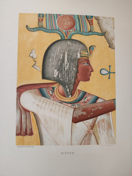 The Tomb of Siphtah. The Monkey Tomb and the Gold Tomb. Excavations : Biban El Moluk.