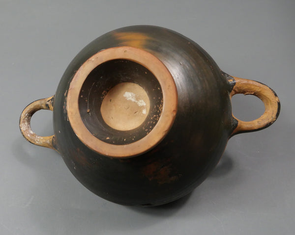 Coupe-Kylix.