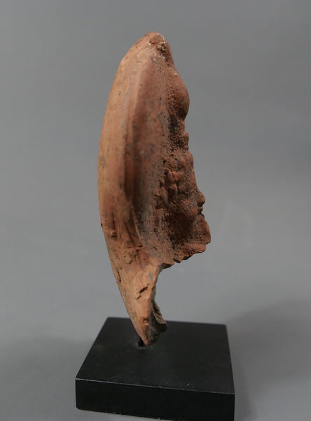 Tête d'Harpocrate.