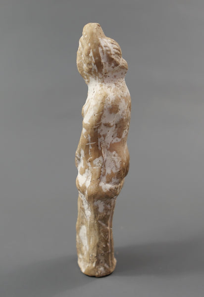 Venus Anadyomene.