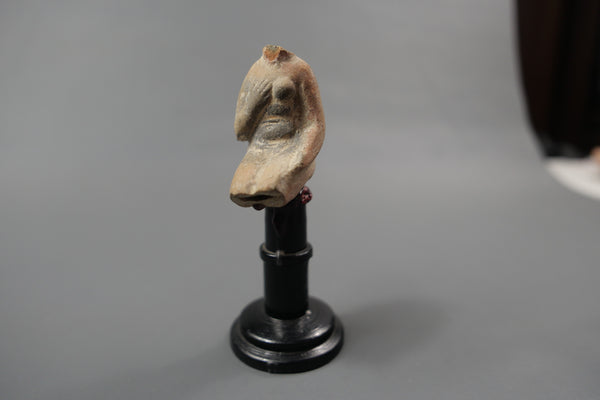 Venus.