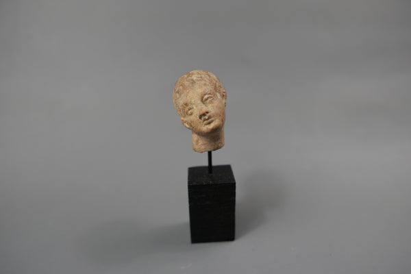 Tête de jeune homme.