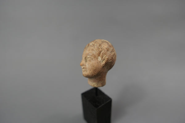 Tête de jeune homme.