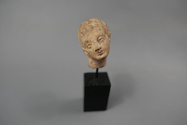 Tête de jeune homme.