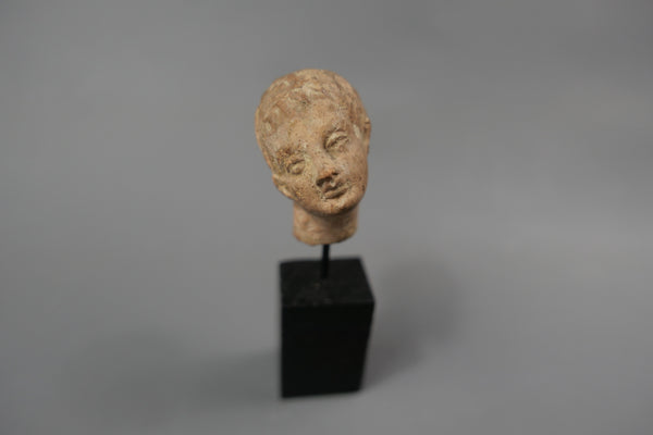 Tête de jeune homme.