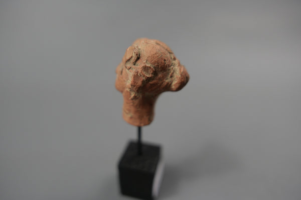 Female head.