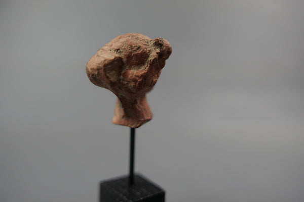 Female head.