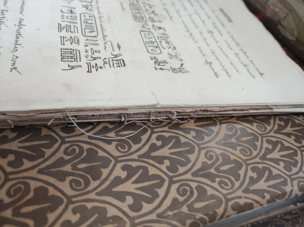 Monuments of Egypt and Nubia. Descriptive notices in accordance with the autograph manuscripts written on the spot by Champollion the Younger. Issue: pp. 201 to 300 and pp. 144 bis to 144 septies.
