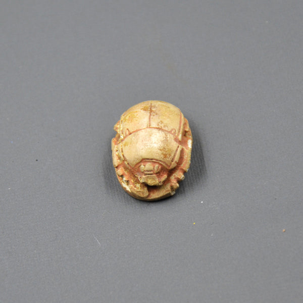 Beetle.