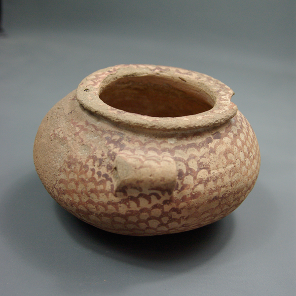 Vase lenticulaire.