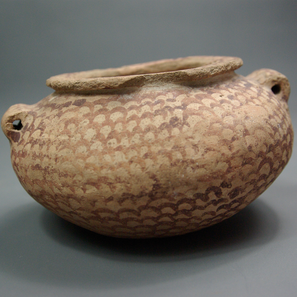 Vase lenticulaire.