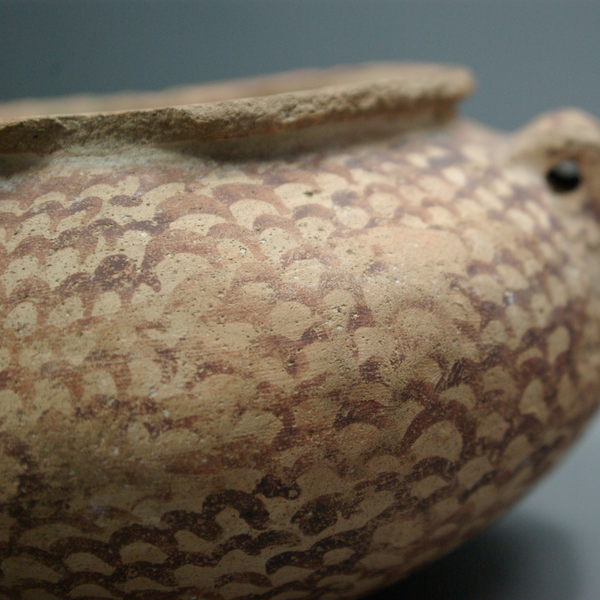 Vase lenticulaire.