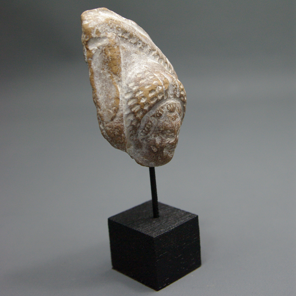 Female head.