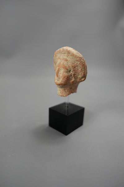 Female head.